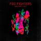 FOO FIGHTERS  Wasting Light 2011