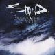 Staind Break The Cycle